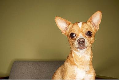 互动式电影《反转21克》Steam页面上线 明年发售